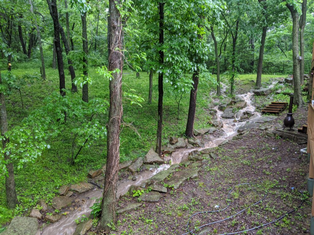 Small stream flows through a lush forest with rocks and wooden steps visible, on a rainy day.