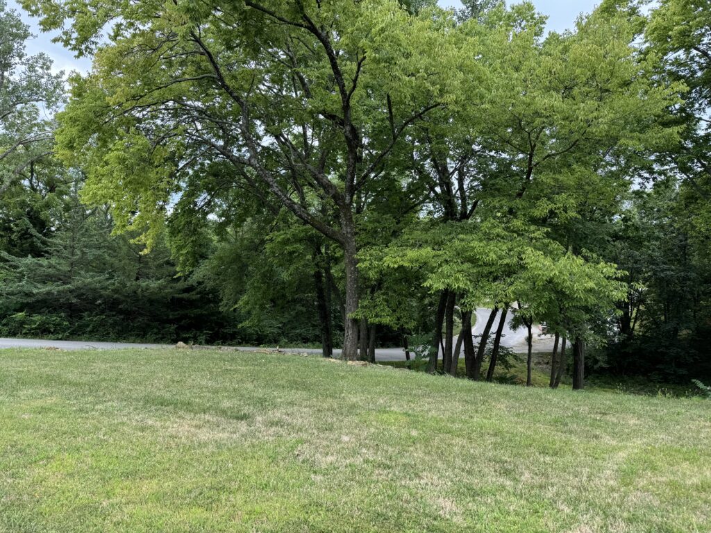 Well-maintained grassy area with trees and a partially hidden paved road in a park setting.