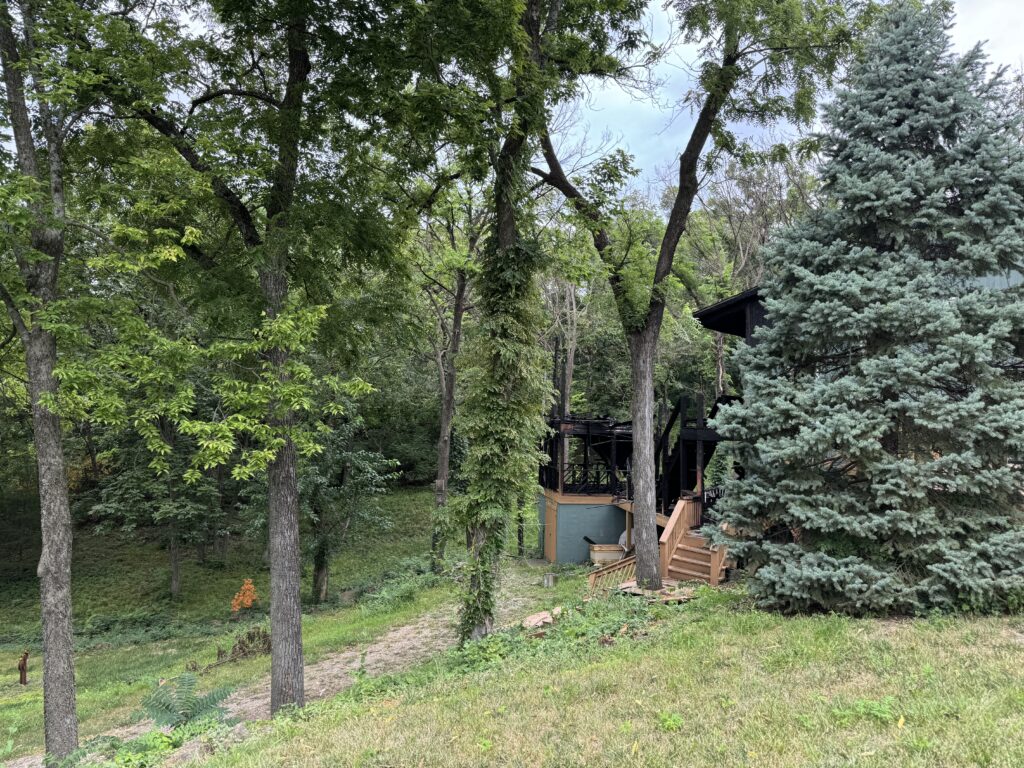 Partially hidden house with staircase, surrounded by trees and greenery in a forested setting.