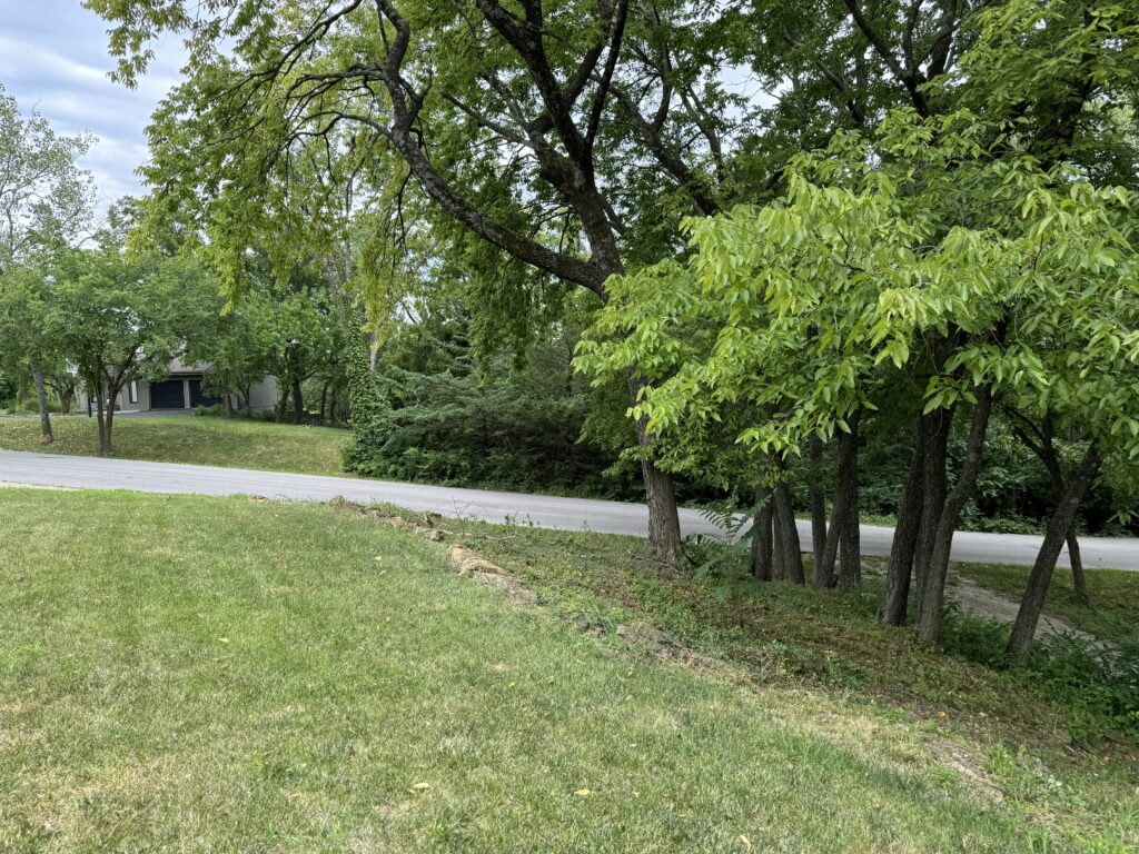 Suburban street with grassy lawns, mature trees, and a house with a dark garage partially visible.