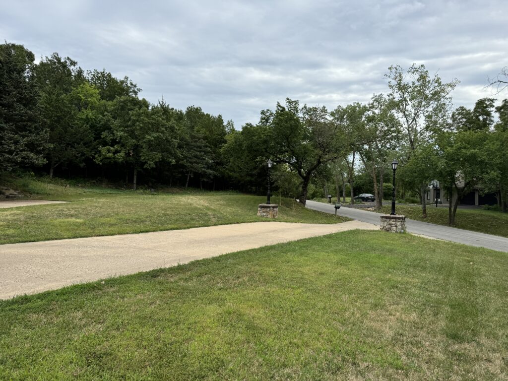 Residential neighborhood with a lawn, driveway, street lamps, trees, and overcast sky.