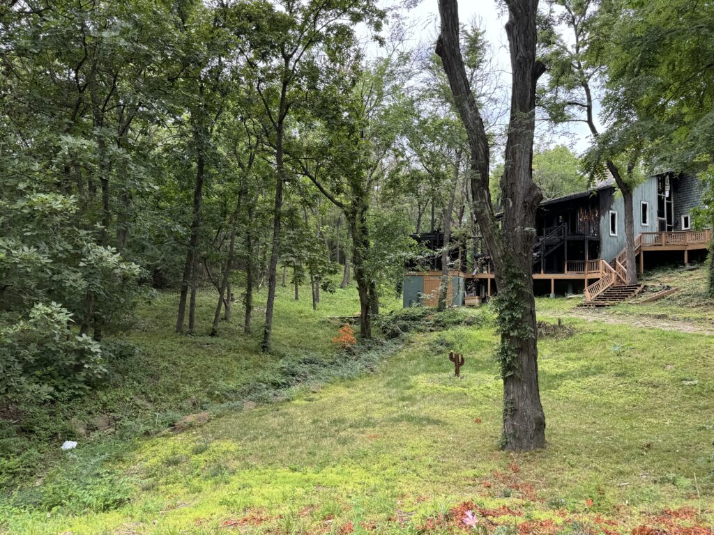 Wooded area with a burned building, stairs, deck, trees, dense greenery, grassy clearing, and wooden cactus structure.