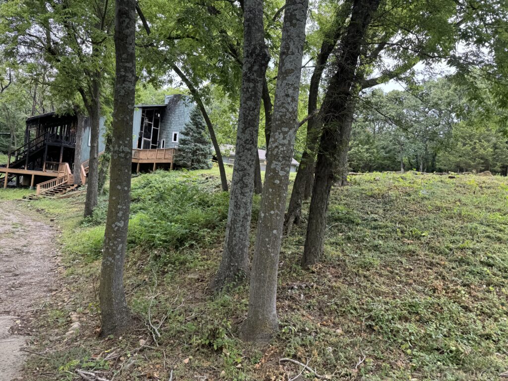 House with wooden exterior and deck among trees and greenery, dirt path in foreground on slope.