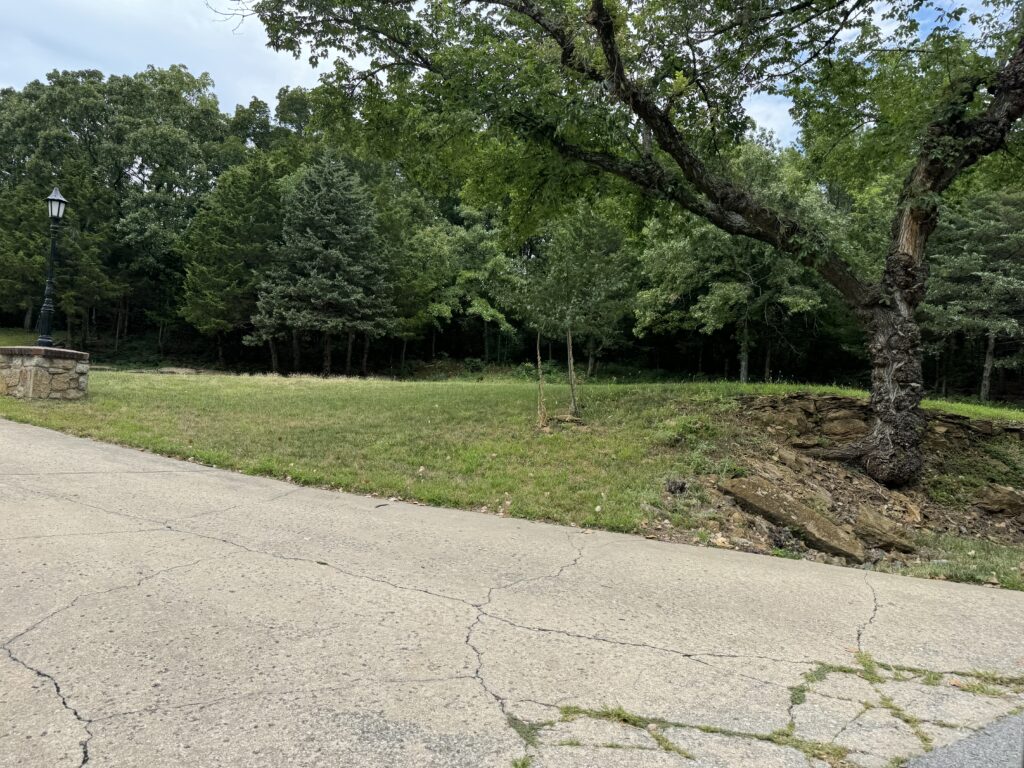 Cracked concrete pathway with grassy area bordered by trees, lamp post, and large gnarled tree.