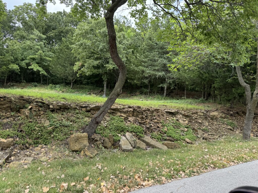 Sloped landscape with rocky outcrop, grass, dense trees, scattered leaves, and a paved road in foreground.