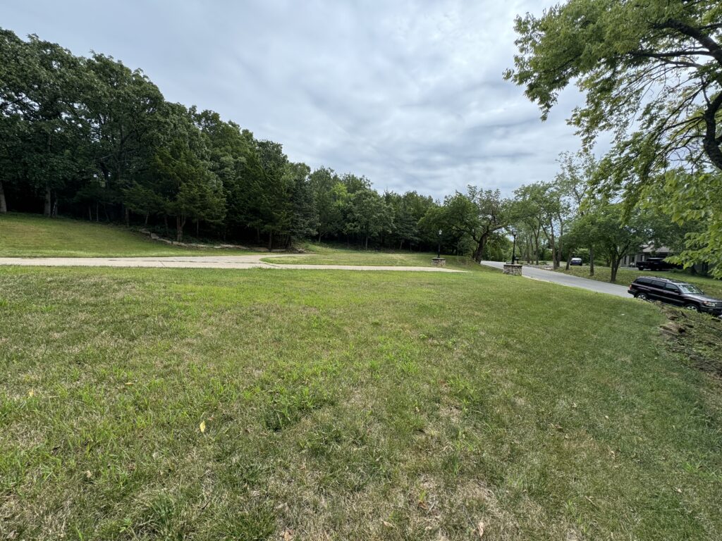 Grassy lawn with a paved path, forest background, parked car on the right, and overcast sky.