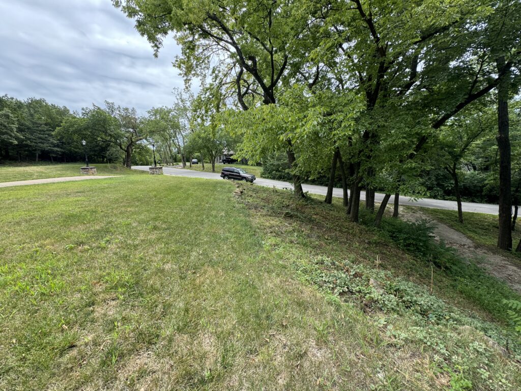 Grassy area with sparse vegetation, trees, paved road, lamp posts, stone pillars, black vehicle.