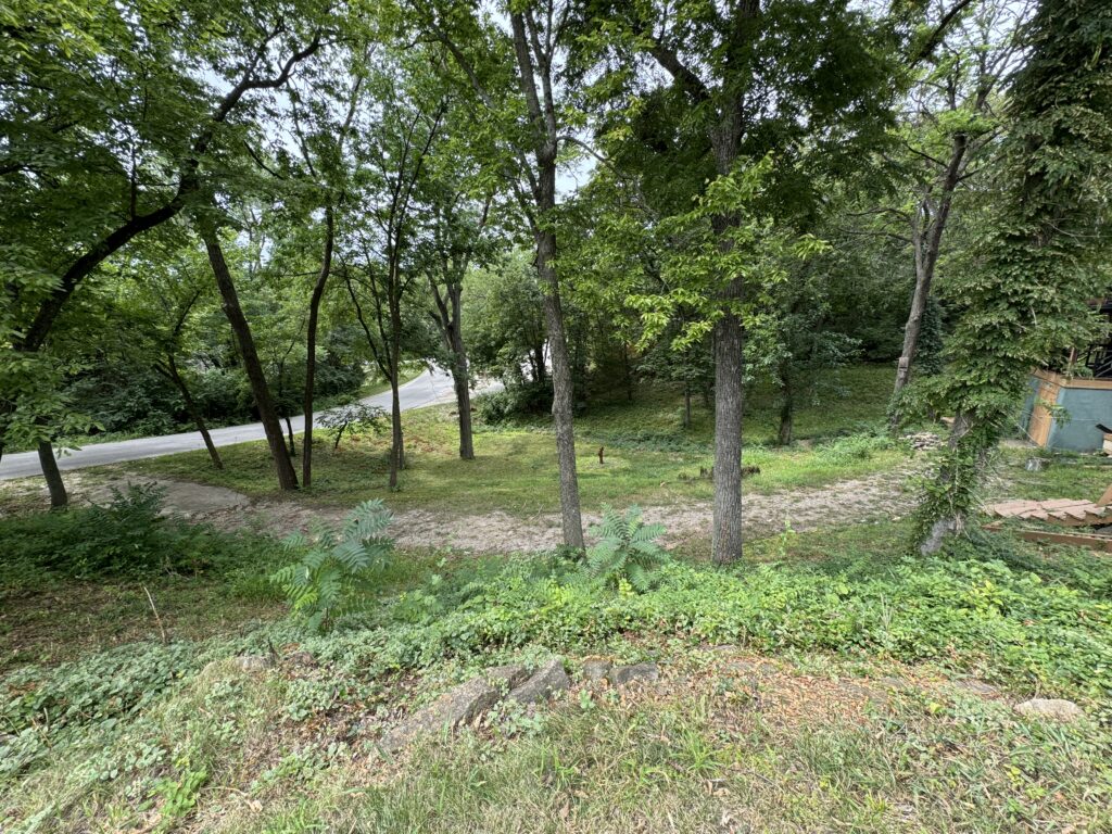 Winding stone path through wooded area with tall trees, road in background, building partially visible