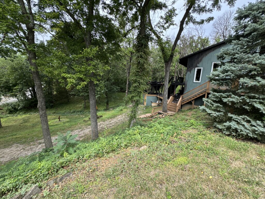 House with green walls, wooden stairs, surrounded by tall trees and plants in a lush forest area.