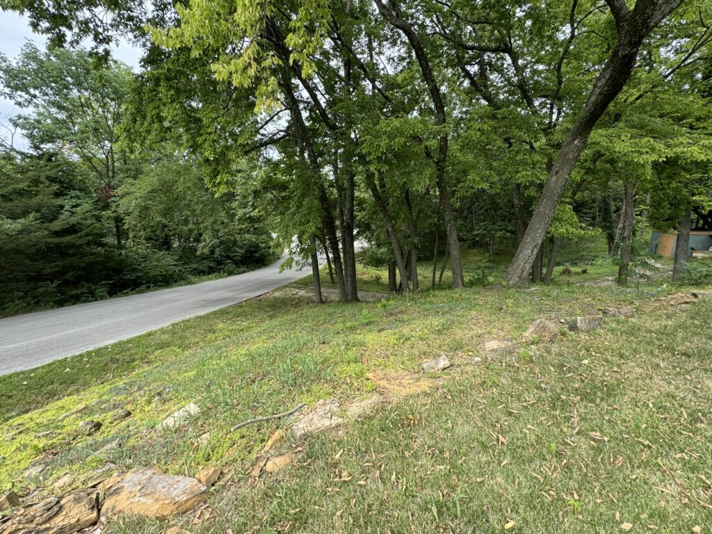 Winding paved road surrounded by lush greenery, trees, grass, and scattered rocks leading to woods.