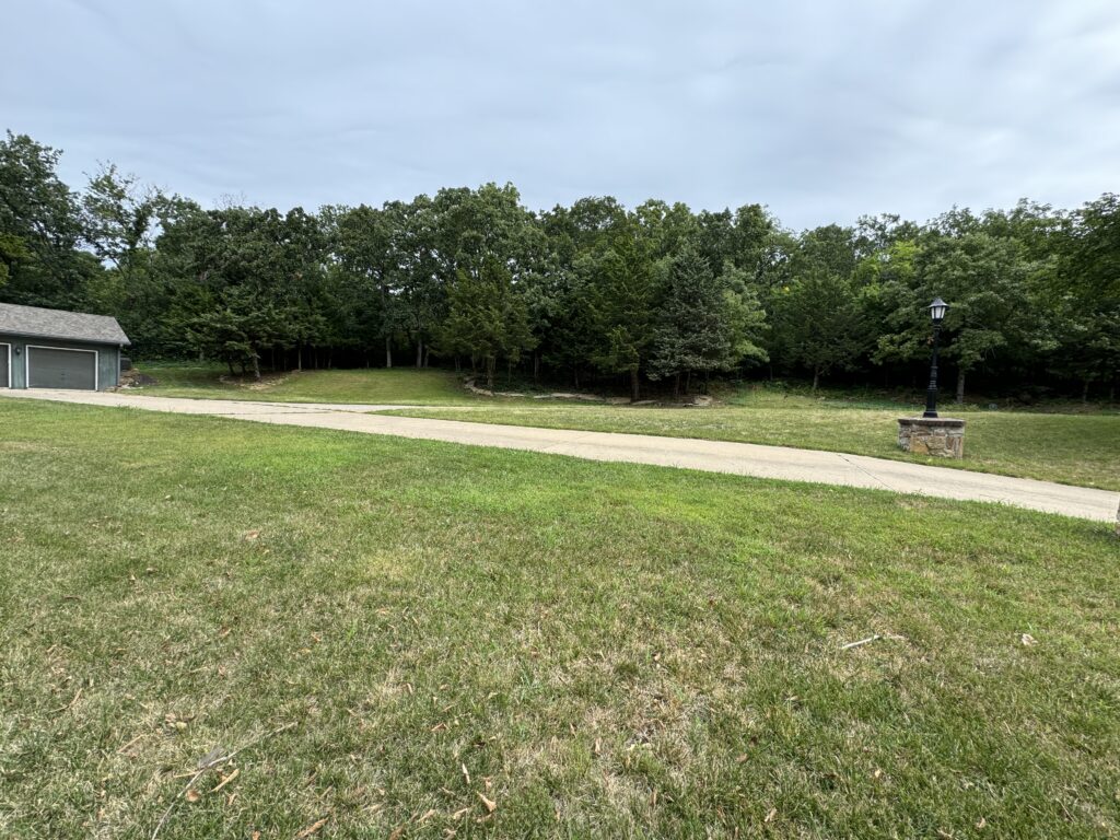 Grassy area with paved walkway, house with gray roof on the left, lamp post on stone base, wooded background.