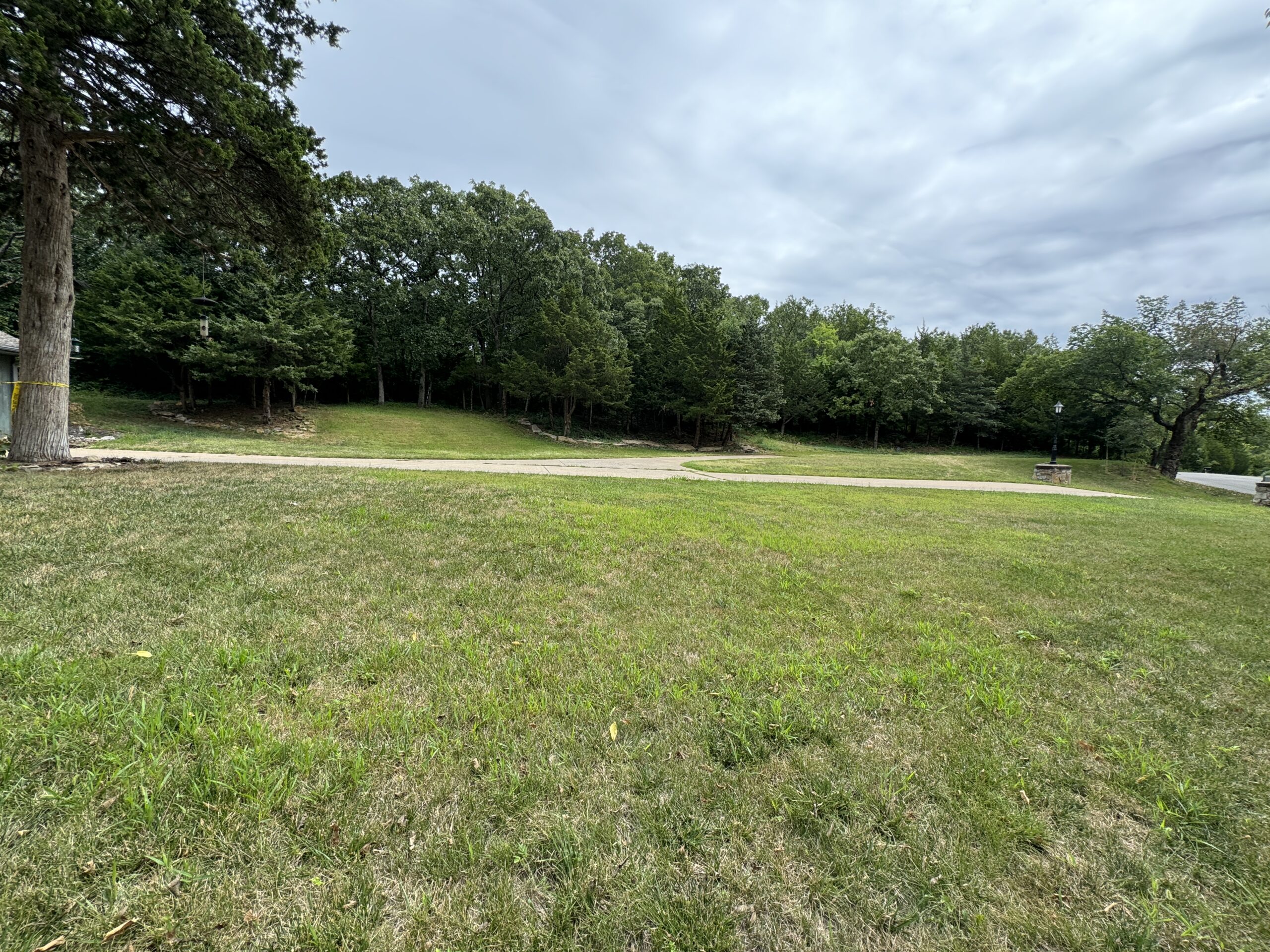 Grassy field with trees, a curving path, a tree, and a small structure under a cloudy sky.