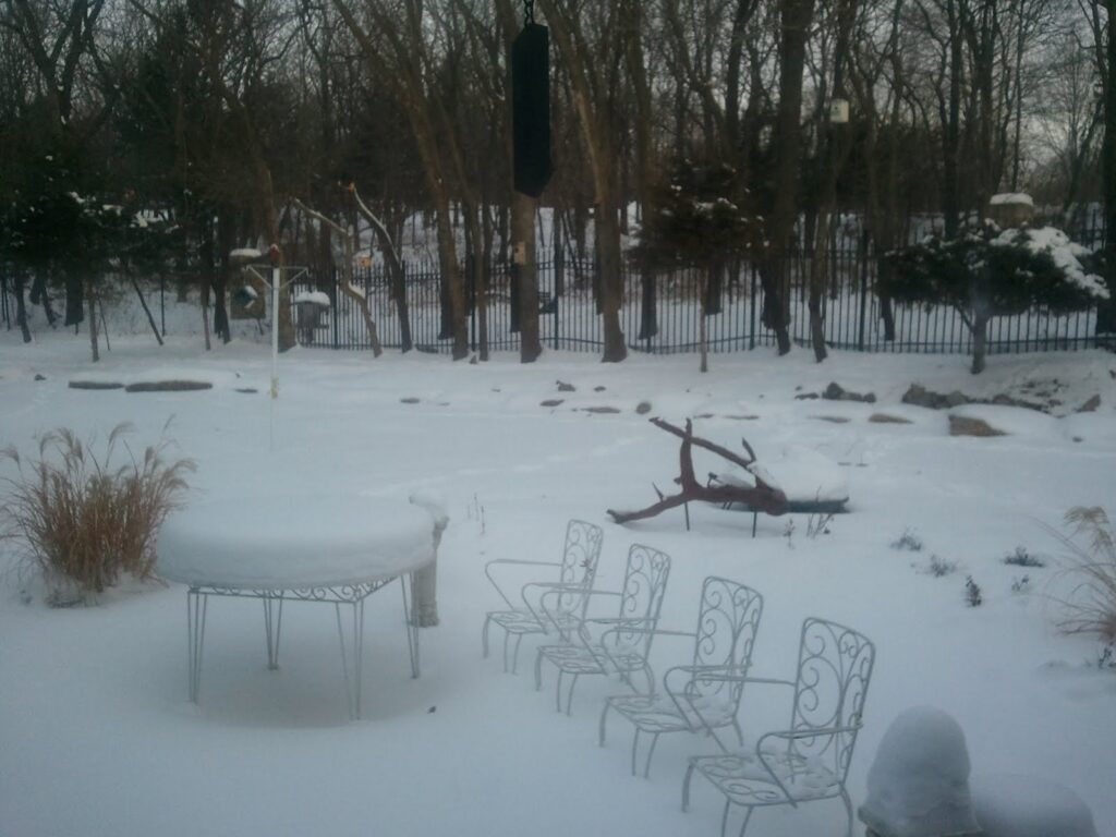 Snow-covered outdoor area with a table, chairs, tall grasses, trees, and a metal fence in the background.