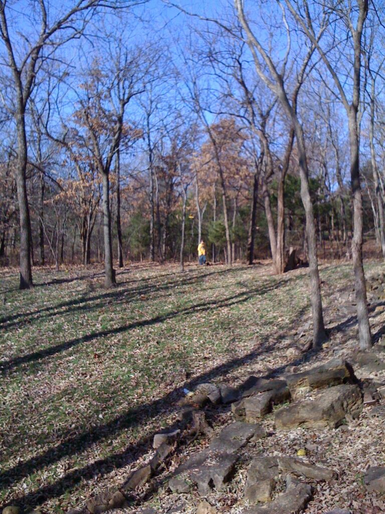 Wooded area with barren trees, fallen leaves, rocks, clear blue sky, and person in yellow jacket.