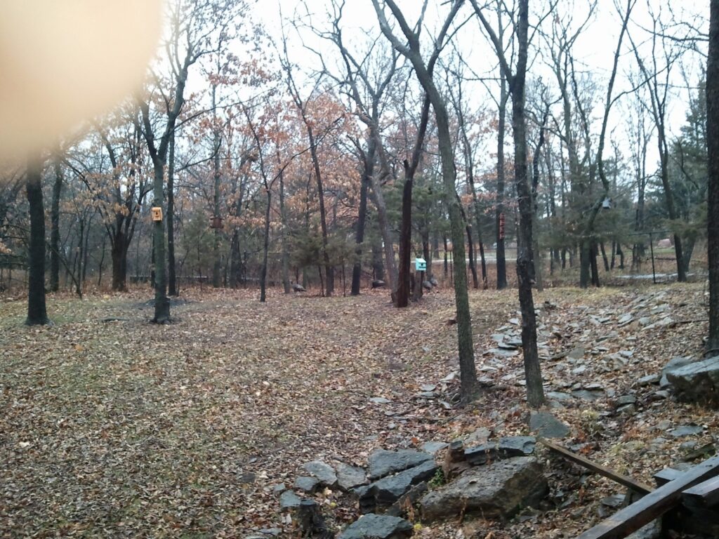 Woodland area with bare trees, fallen leaves, scattered rocks, and birdhouses; partial obscuration top left.